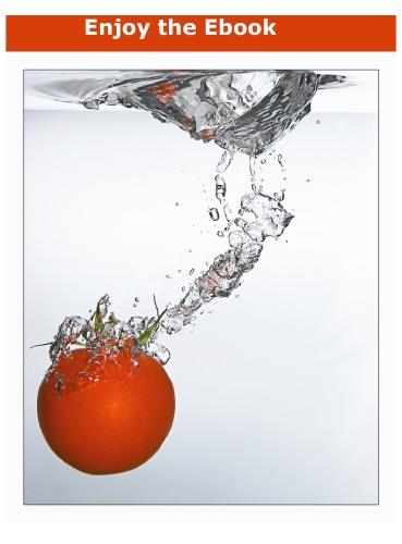 The Book of the Dead or The Papyrus of Ani