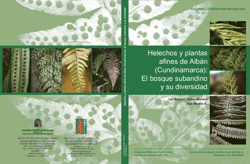 Helechos y plantas afines de Albán (Cundinamarca): El bosque subandino y su diversidad