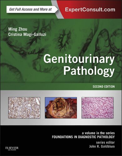 Genitourinary Pathology: A Volume in the Series:
