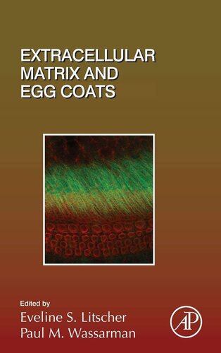 Extracellular Matrix and Egg Coats