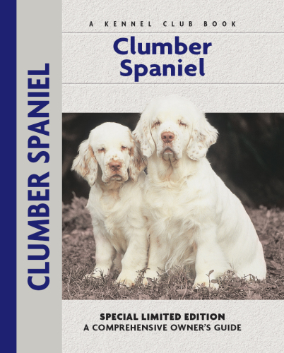 Clumber Spaniel