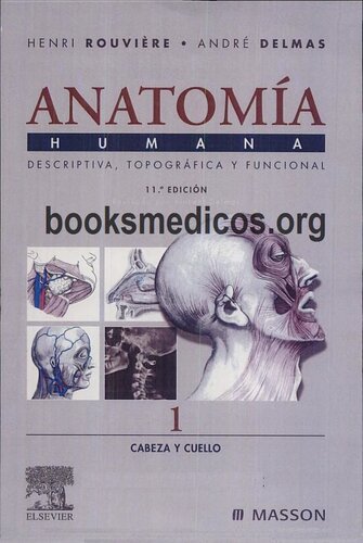 Anatomia Humana