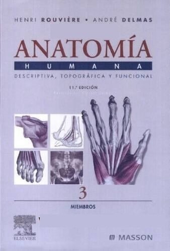 Anatomia Humana