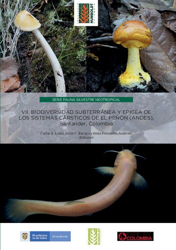 Biodiversidad subterránea y epigea de los sistemas cársticos de El Peñón (Andes), Santander, Colombia
