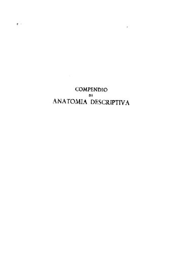Compendio de anatomía descriptiva