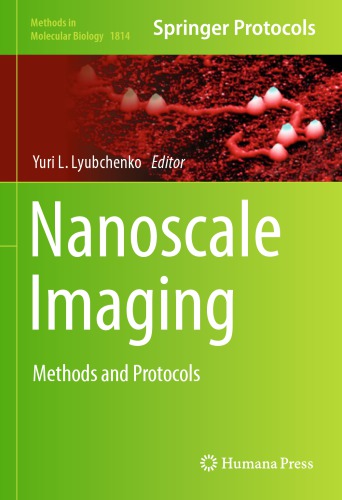 Nanoscale Imaging: Methods and Protocols