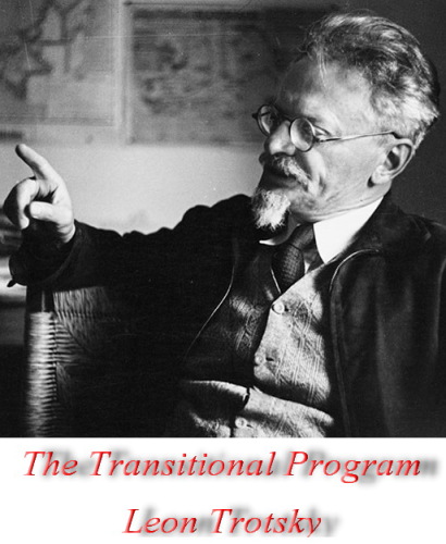 The Transitional Program