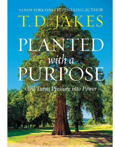 Planted with a purpose: God turns pressure into power