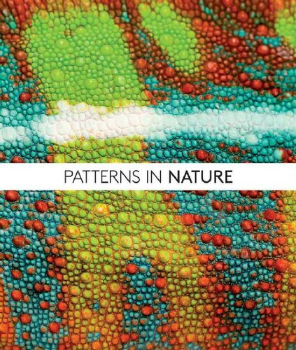 Patterns in Nature: Why the Natural World Looks the Way It Does