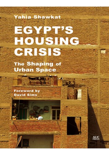 Egypt's Housing Crisis: The Shaping of Urban Space
