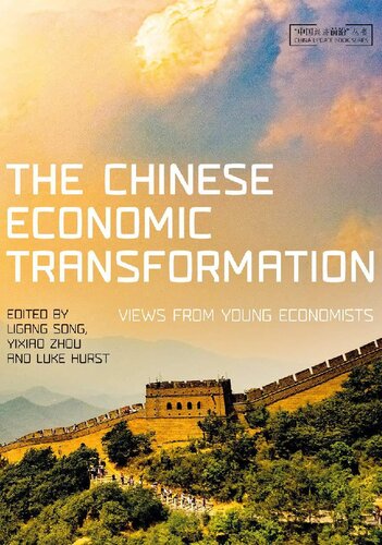 The Chinese Economic Transformation: Views from Young Economists
