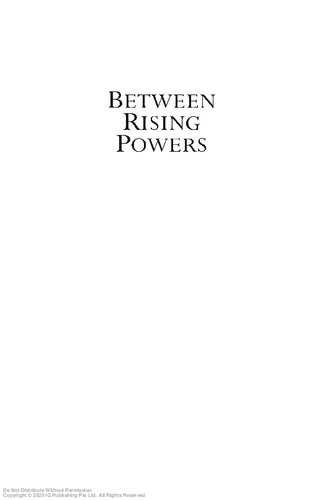 Between rising powers : China, Singapore, and India