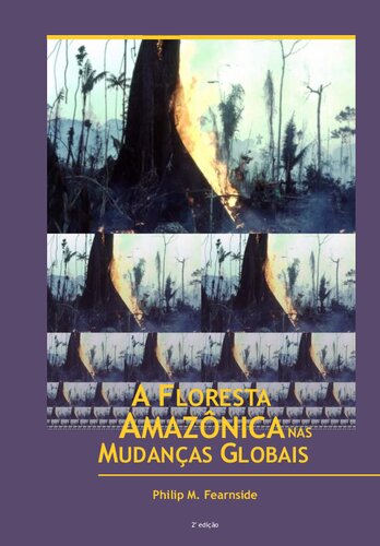 A floresta amazônica nas mudanças globais