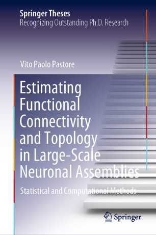 Estimating Functional Connectivity and Topology in Large-Scale Neuronal Assemblies: Statistical and Computational Methods