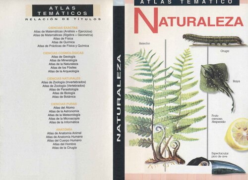 Atlas Tematico