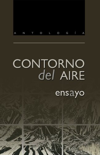 Contorno Del Aire