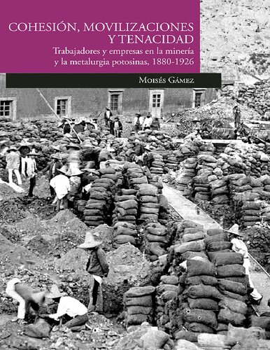 Cohesió, movilizaciones y tenacidad : trabajadores y empresas en la minería y la metalurgia potosinas 1880-1926