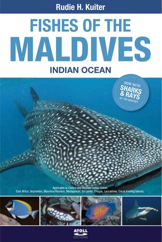 Fishes of the Maldives, Indian Ocean.