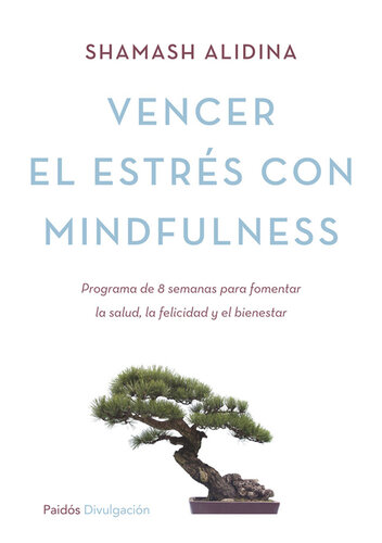 Vencer el estrés con mindfulness