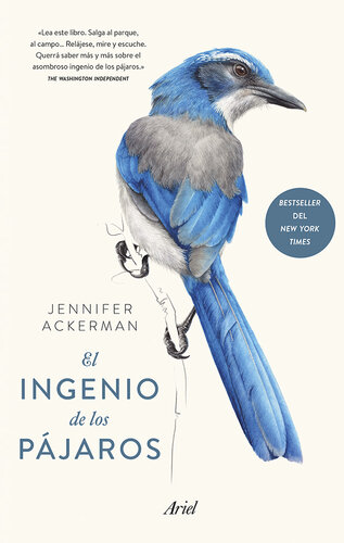 El Ingenio De Los Pajaros
