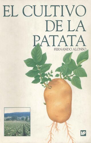 El Cultivo De La Patata