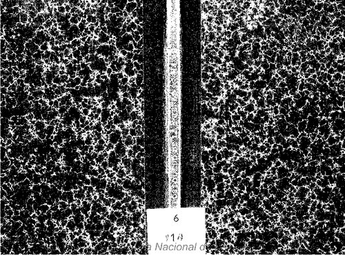 Frailes Curas Y Masones (1901 Scan)