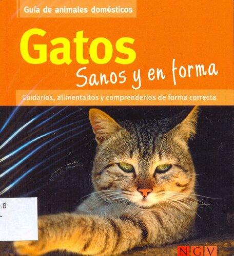 Gatos Sanos Y En Forma