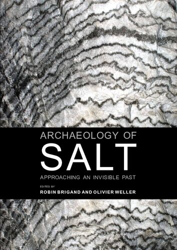 Archaeology of Salt: Approaching an Invisible Past