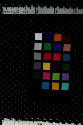 The future of the body: explorations into the further evolution of human nature /