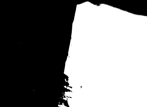 O Camponês Polonês no Brasil