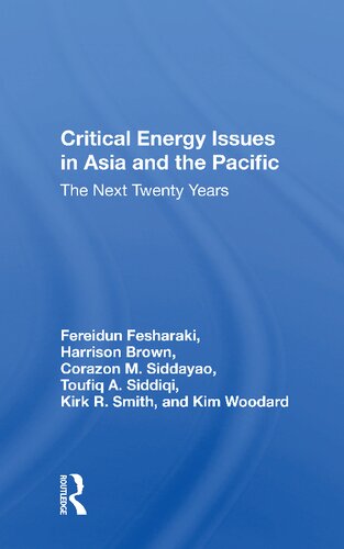 Critical Energy Issues In Asia And The Pacific: The Next Twenty Years