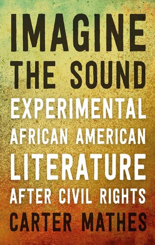 Imagine the Sound: Experimental African American Literature after Civil Rights