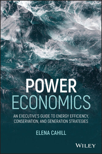 Power Economics: An Executive’s Guide to Energy Efficiency, Conservation, and Generation Strategies