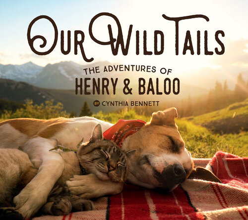 The Adventures of Henry & Baloo