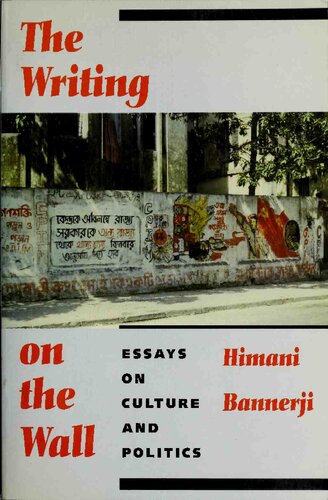 The Writing on the Wall:Essays on Culture and Politics