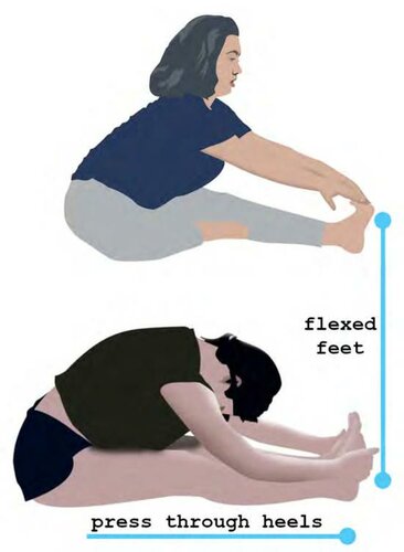 Yoga What Basic Understandable Yoga Alignment