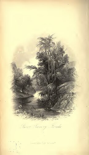 The Homes of the New World; Impressions of America