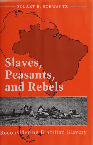 Slaves, Peasants, and Rebels: Reconsidering Brazilian Slavery