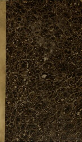 Columbus. Americanische Miscellen