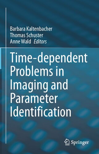 Time-dependent Problems in Imaging and Parameter Identification