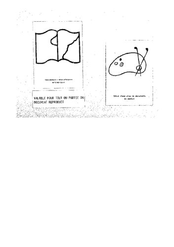 Die Armanenschaft der Ario-Germanen