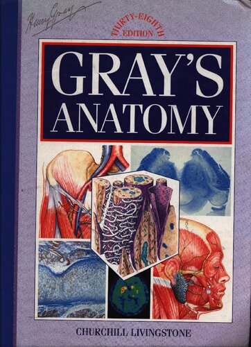 Gray's anatomy - the anatomical basis of medicine and surgery (part 1)