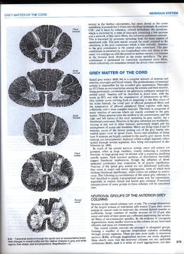 Gray's anatomy - the anatomical basis of medicine and surgery (part 3)