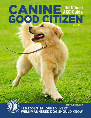 Canine Good Citizen: 10 Essential Skills Every Well-Mannered Dog Should Know