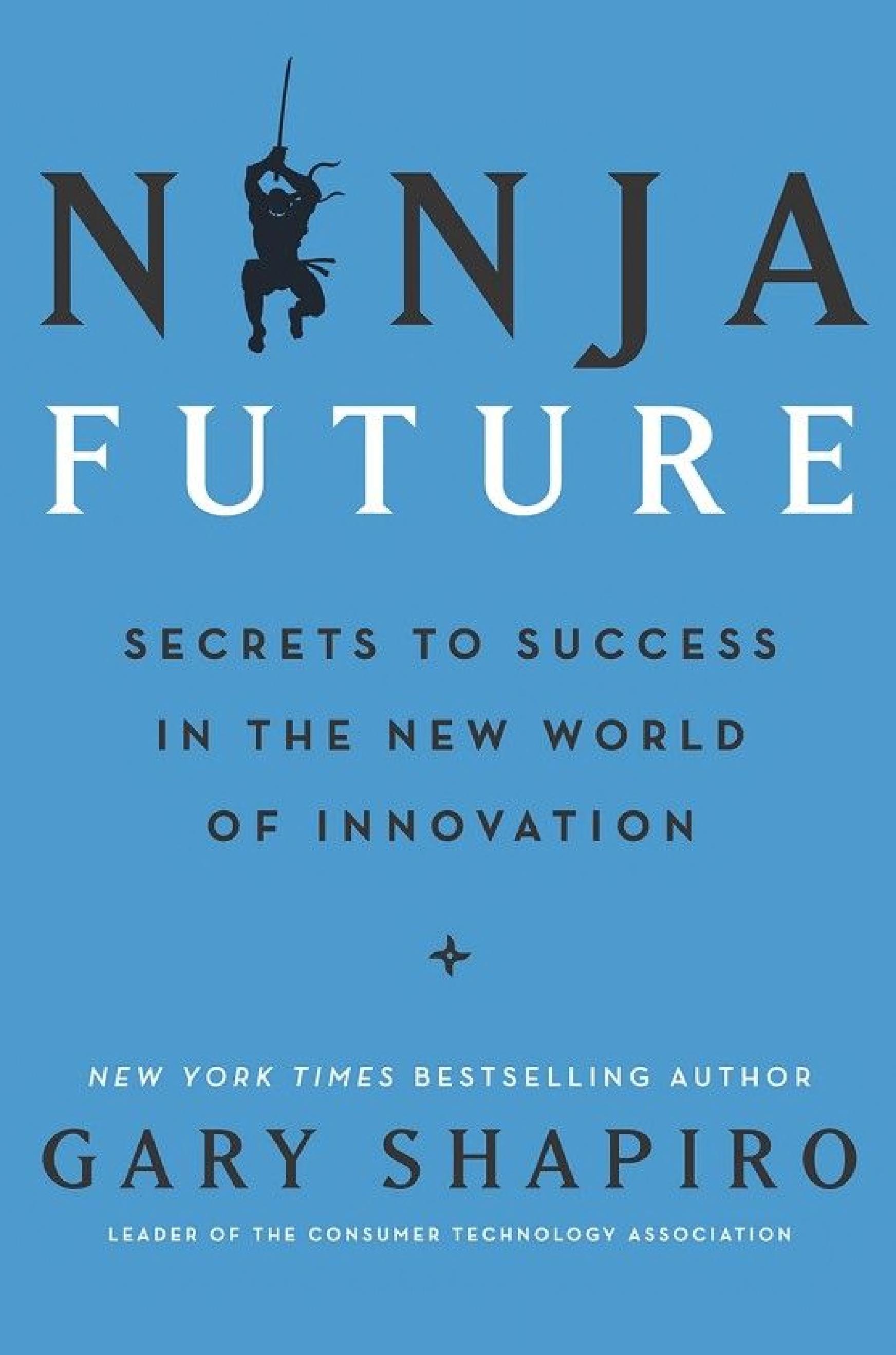 Ninja Future: Secrets to Success in the New World of Innovation