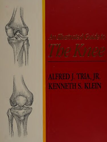 An illustrated guide to the knee