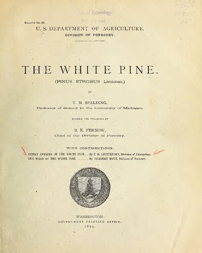 The White Pine (Pinus Strobus Linnaeus)