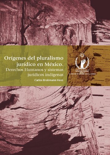 Orígenes del pluralismo jurídico en México: derechos humanos y sistemas jurídicos indigenas