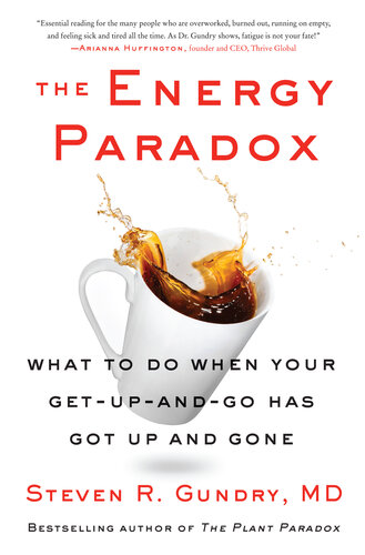 Energy Paradox : What to Do When Your Get-up-and-go Has Got Up and Gone