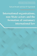 International Organisations, Non-State Actors and the Formation of Customary International Law